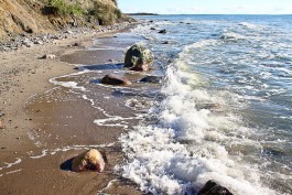 Почти половина побережья Калининградской области подвержена постоянному разрушению