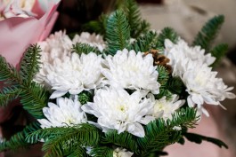 С начала января в Калининградскую область из разных стран завезли 1,2 млн цветов