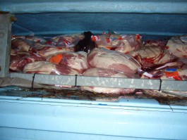 Поляк на «Фиат Дукато» пытался незаконно ввезти в регион тонну свинины