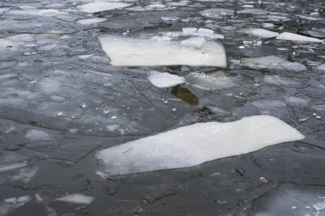 МЧС предупреждает о резком таянии льда на водоёмах Калининградской области