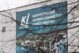 Нацрыбресурс займётся возрождением морского рыбного порта в Калининграде