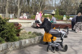 На праздничных выходных жительницы Калининграда смогут посетить зоопарк вдвоём по одному билету