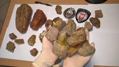 Польские пограничники конфисковали у жителя Калининградской области 2,9 кг янтаря (фото)