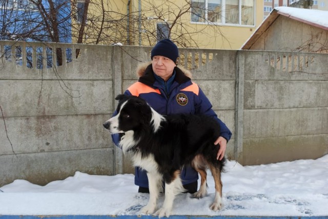 Пёс Акай из Калининграда стал лучшей служебной собакой-спасателем в России