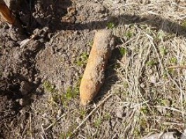 Грибники нашли в лесах Калининградской области четыре боеприпаса и миномёт