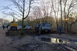 Дятлова: «Медвежий угол» в Южном парке Калининграда нужно приводить в порядок