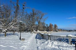 «По пушинкам серебра»: как выглядит укрытый снегом Калининград (фото)