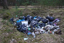 Подольского и Сагаеву привлекли к административной ответственности за свалки мусора