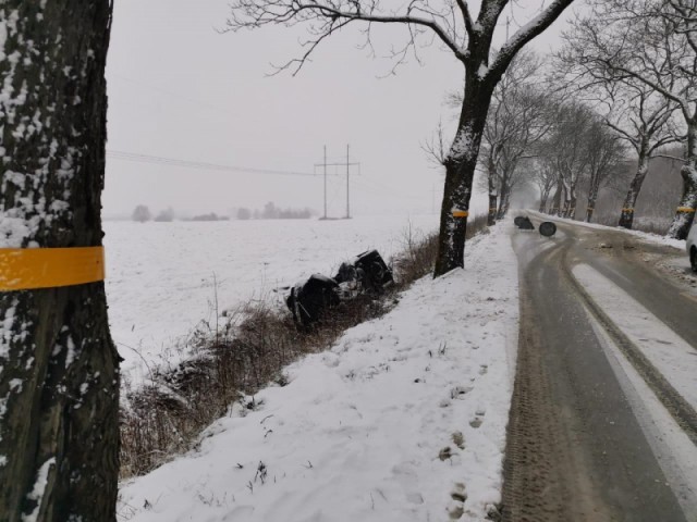 В Зеленоградском округе «Рено» врезался в дерево и опрокинулся: водитель погиб