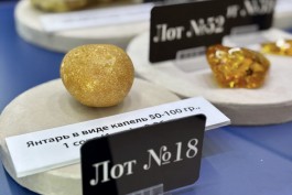 Калининградский янтарный комбинат выставит на аукцион более 50 редких камней возрастом 30-40 млн лет 