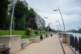 На набережной Трибуца в Калининграде разрешили вырубить 29 деревьев
