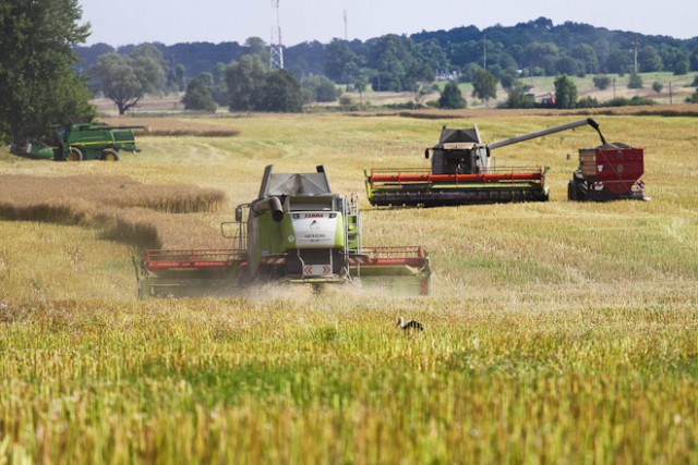 Хованский: Калининградская область полностью обеспечивает себя зерном