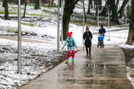 Синоптики обещают плюсовую температуру в первую неделю декабря в Калининградской области
