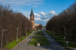 В Калининграде хотят создать девятикилометровую пешеходную зону с экскурсионной программой, как во Флоренции