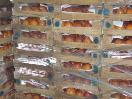 На границе в Чернышевском задержали более двух тонн хурмы, дыни и грецких орехов
