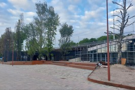 Игорь Ли: Я не вижу проблемы, если по острову Канта в Калининграде пойдёт автодорога  