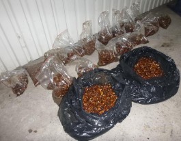 Из Калининградской области в Литву пытались вывезти 34 кг янтаря в бензобаке