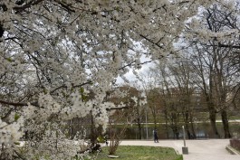 В выходные в Калининградской области потеплеет до +15&deg;С