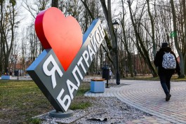 Сквер на Киевской лидирует в голосовании по выбору места для благоустройства в Калининграде 