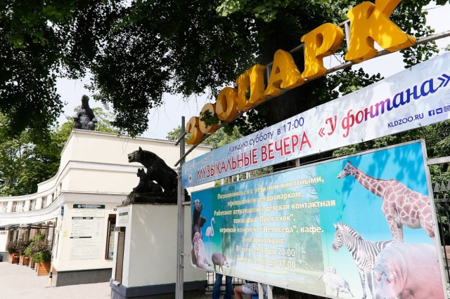 Власти выделили 15 млн рублей для обновления скульптур на входе в калининградский зоопарк
