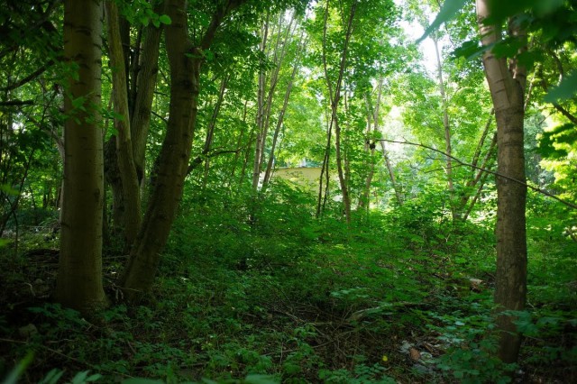 Под Гусевом спасатели разыскали заблудившуюся в лесу семью с 12-летним ребёнком