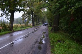 На трассе Добровольск — Нестеров «Ауди» врезалась в дерево: водитель погиб