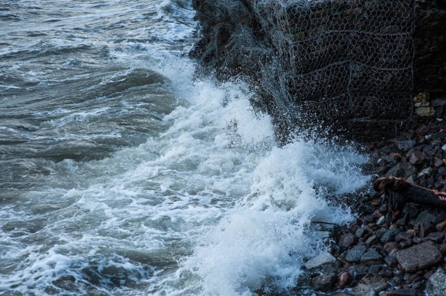 МЧС предупреждает об усилении ветра в Калининградской области до 17 метров в секунду