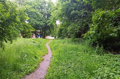 Алиханов: Практически весь Суздальский лес будет зелёной территорией