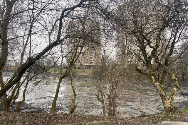 Срок расчистки Гагаринского ручья и Ялтинского пруда в Калининграде перенесли на конец апреля
