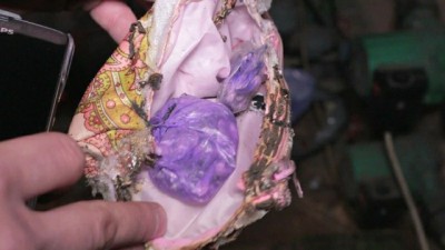 В Гурьевском районе полицейские штурмом взяли особняк, хозяйка которого торговала героином (фото)