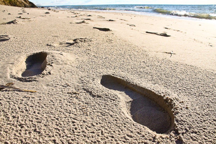 «Курортная утопия»: что думает наука о планах расширить пляжи Калининградской области до 70 метров