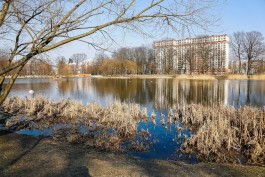 Для набережной Летнего озера в Калининграде закупают 12 скамеек и 10 лежаков