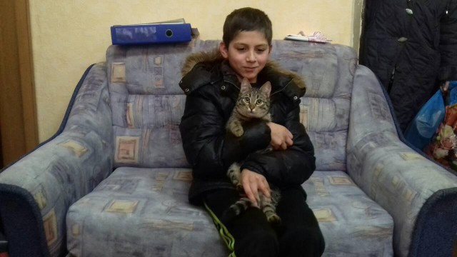 Заблудившегося под Краснознаменском мальчика всю ночь согревал кот Спаситель