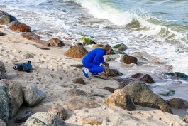 На пляже в Сокольниках нашли неопознанные костные останки
