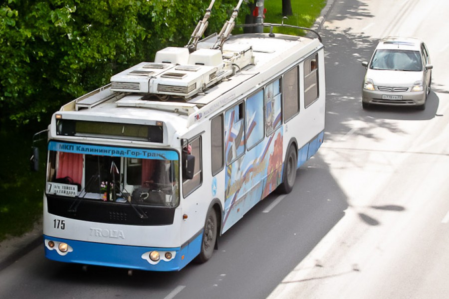 В Калининграде из-за резкого торможения в двух троллейбусах упали пенсионерка и подросток