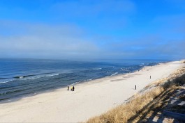 &laquo;Первые +20&deg;С&raquo;: метеорологи рассказали о потеплении в начале апреля в Калининградской области 