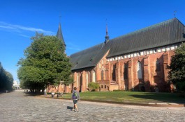В первую неделю осени в Калининградской области прогнозируют до +26°C