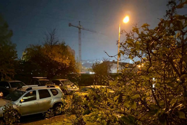 Сильный ветер в Калининграде повалил деревья на семь автомобилей и два жилых дома