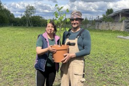 Высадку рощи тюльпановых деревьев под Краснознаменском планируют завершить весной 2026 года 