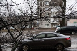 В праздничные выходные в Калининградской области ожидается штормовой ветер и дождь