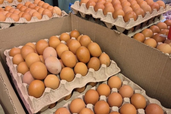 «Снижение к празднику»: сколько стоят яйца в Калининграде перед Пасхой 
