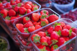 На вертикальной клубничной ферме в Нестерове планируют выращивать около 140 тонн ягод в год