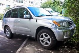 Калининградцам запретят парковать машины ближе двух метров от деревьев