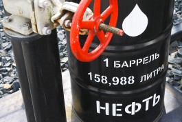 В Минприроды рассказали, на сколько России хватит природных ресурсов