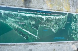 Эксперт: Туристы на джипах разрушили авандюну на Балтийской косе почти до границы