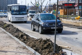 «Сквозь деревья»: Зеленоградск подготовит проект планировки для дороги в объезд центра