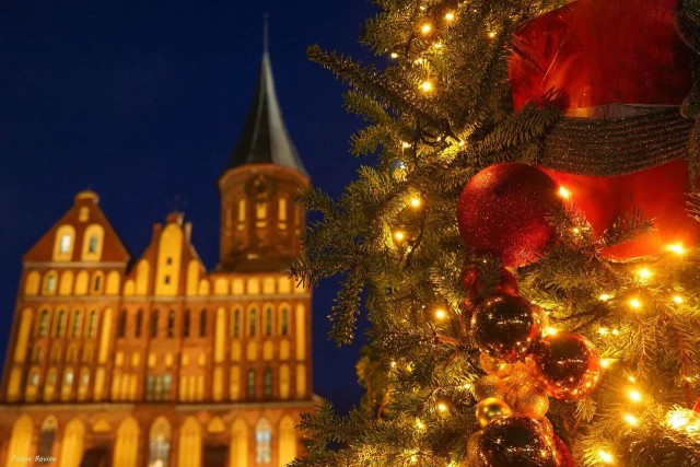 «От отелей до квартир»: сколько стоит жильё в Калининградской области на новогодних праздниках 