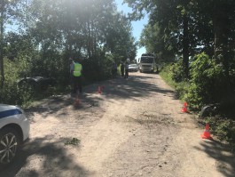 В Гурьевском округе «Мерседес» врезался в дерево: пострадали женщина и пятеро детей (фото, видео)