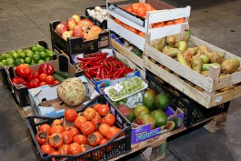 «Какая разница»: собственный мониторинг цен на продукты в Гданьске и Калининграде 