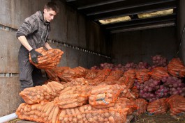 Польские фермеры просят более 100 млн злотых за убытки от российского эмбарго